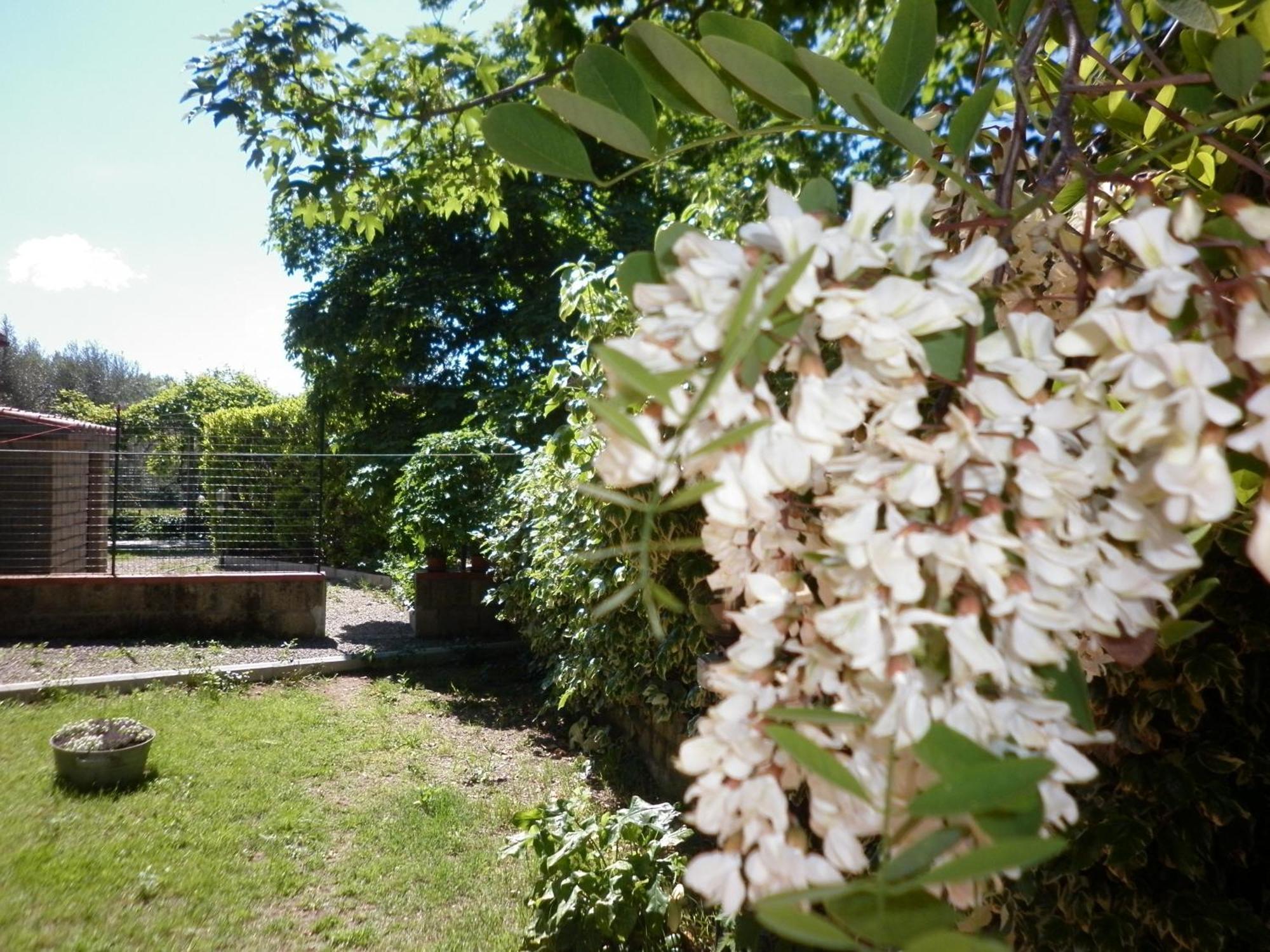 Maremma Nel Tufo Guest House Pitigliano Luaran gambar