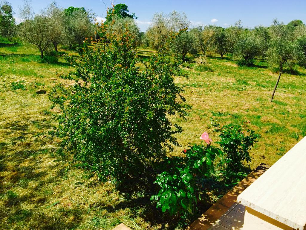 Country House Maremma Nel Tufo Pitigliano Luaran gambar
