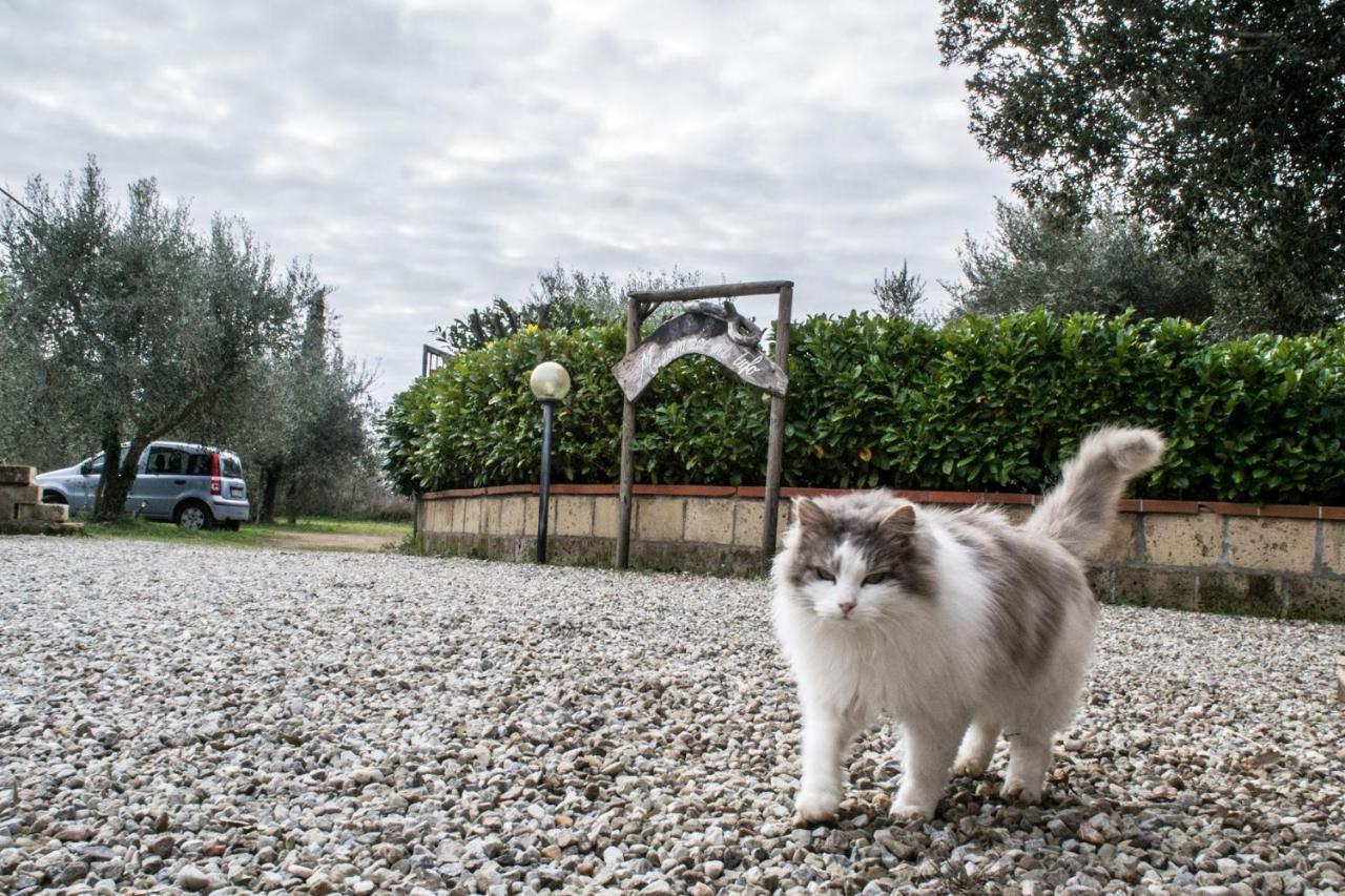 Country House Maremma Nel Tufo Pitigliano Luaran gambar