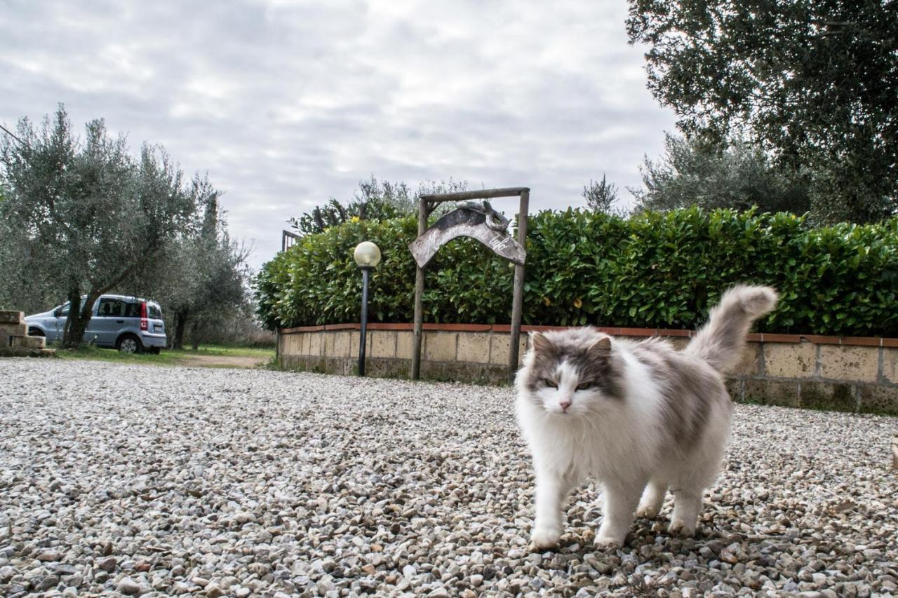 Maremma Nel Tufo Guest House Pitigliano Luaran gambar